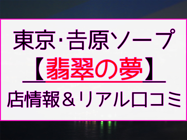 NN/NS情報】すすきののソープランド5店を全34店舗から厳選！【2024年】 | Trip-Partner[トリップパートナー]