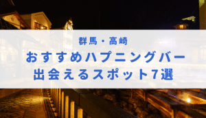 上野の新規ハプニングバー ハーネス東京（harnes tokyo）体験レポート |