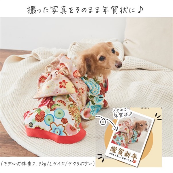 ドッグプレイ(R)接触冷感ハイテンションラッシュガード(中型犬用) | ダックス、猫 、小型犬、中型犬、大型犬の服、ドッグスリング（犬用スリング）、犬・猫の服、ドッグウェア(チワワ