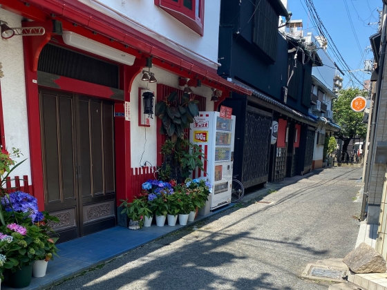 遊廓跡地を訪ねて 信太山新地（小栗の郷） | ページ 3