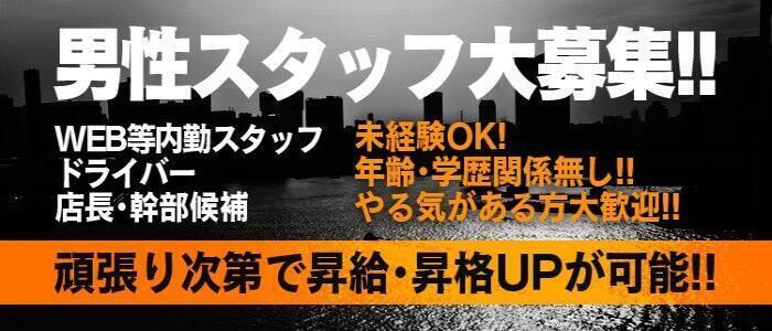 シンデレラFCグループの高収入の風俗男性求人 | FENIXJOB