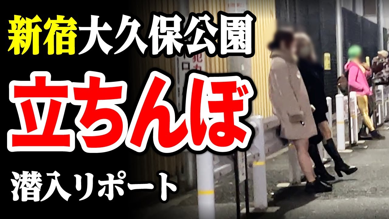 大久保公園の外人立ちんぼに関する最新事情をお伝えします｜仙頭正教