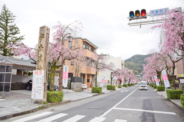 岐阜県中津川市付知峡＆ちこり村でランチ｜リコさんちのキルト