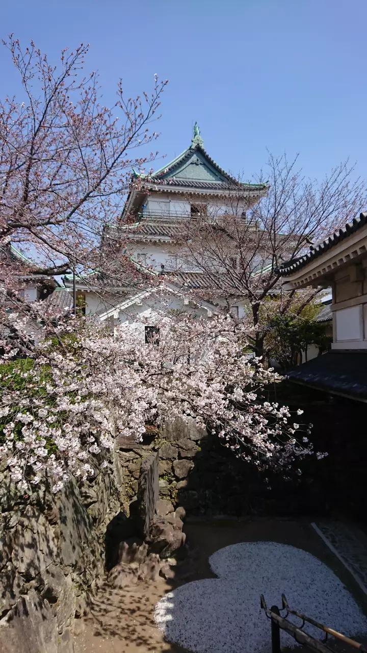 和歌山県】和歌山市「天王新地」201907 : 遊里奇譚