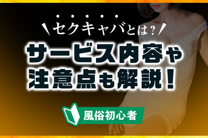 愛知のセクキャバ・おっパブ・いちゃキャバ情報満載『ドンファンなび』