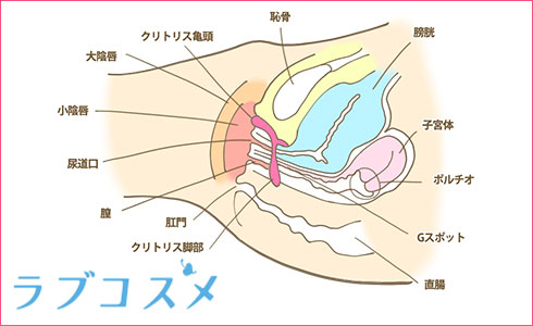 こんなの初めて…！「中イキ」以上の「両イキ」を味わうにはアレが必要だった！ | オトナのハウコレ