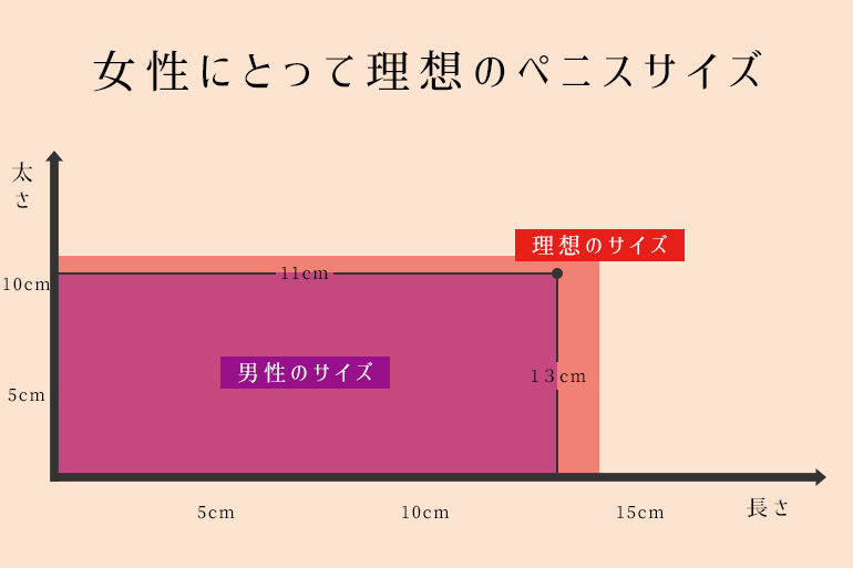 チンコのサイズの理想と現実 - ゆかいな画像を見たい