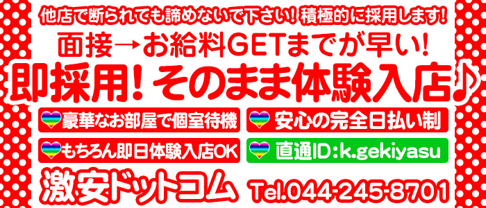 激安ドットコム | 川崎-堀之内・南町ソープランド│クチコミランキング