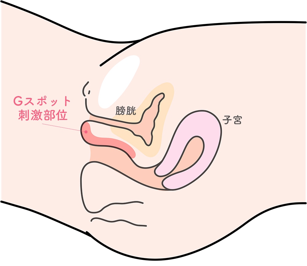 女がイキまくるGスポットの攻め方。愛撫方法・場所・触り方を徹底解説