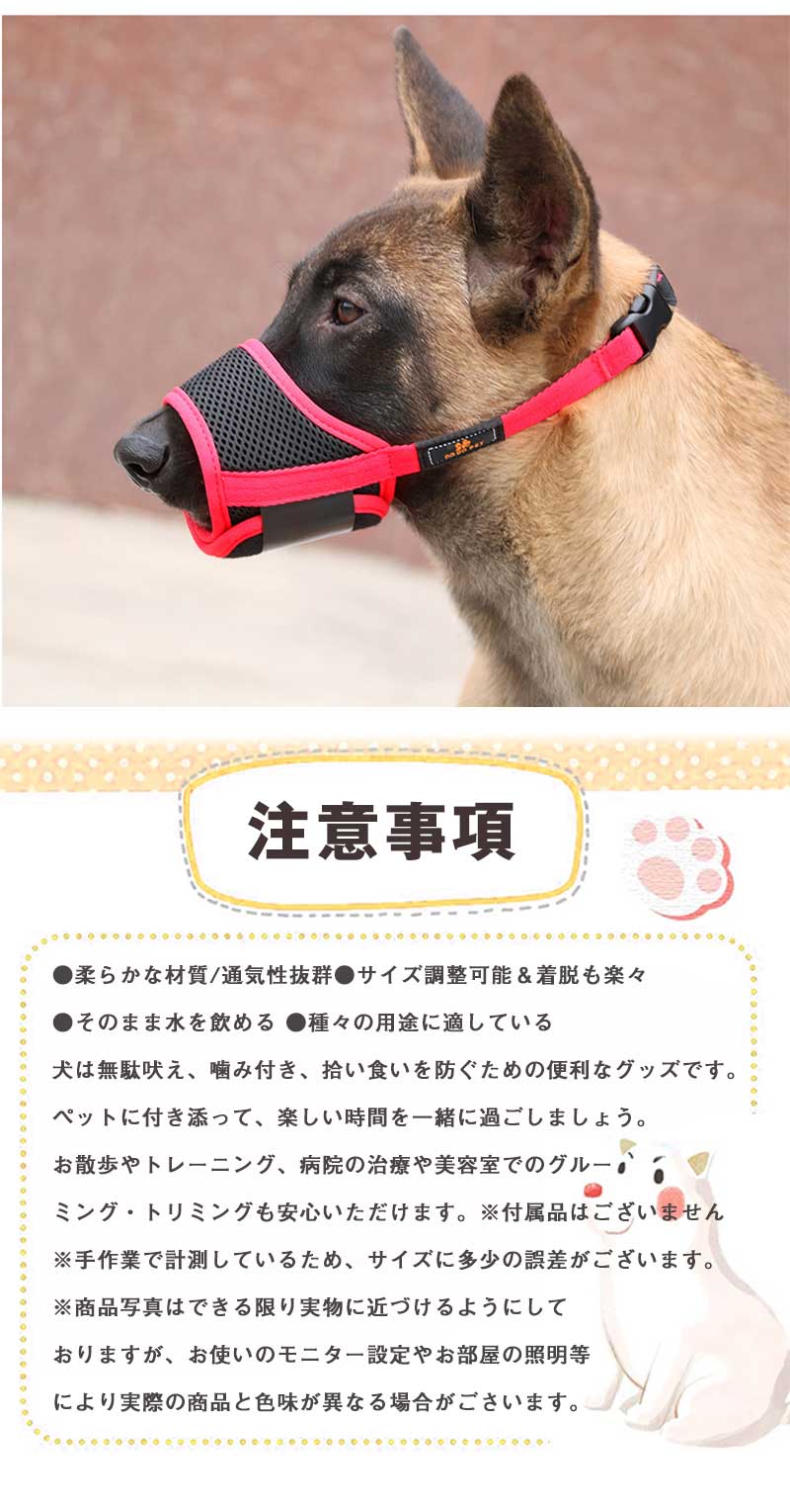 ペキニーズのブリーダー 倉持恵理ブリーダー 埼玉県 子犬(ID: 11133)ページ