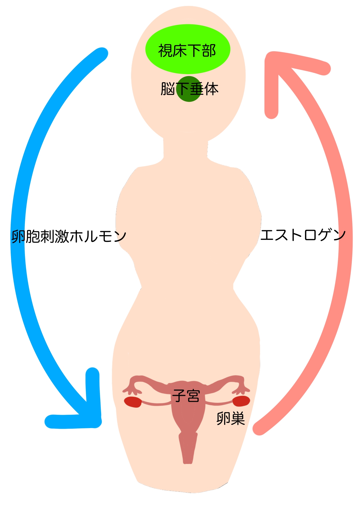 ナダル「小島みなみさんはサービス精神旺盛！」ケンコバ主演ドラマ「桃色探訪～伝説の風俗～」イベント – NB