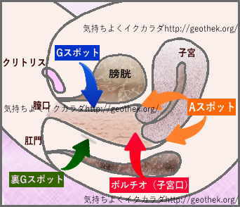 Gカップ岡本杷奈、元彼とエロイプ!?「セクシーなアングルを見せてます」 | ホビーちゃんねる