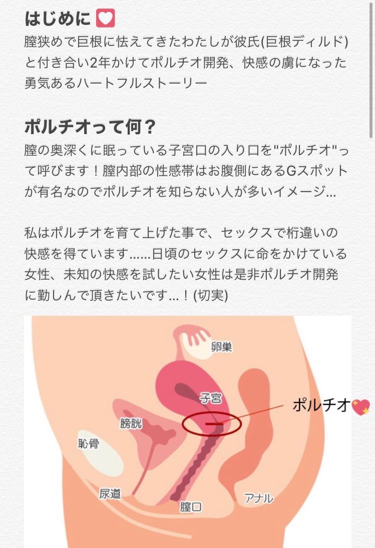 ポルチオとは？産婦人科専門医の丹羽咲江医師が子宮腟部を徹底解説します。 | 腟ペディア