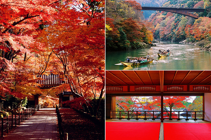 京都穴場の紅葉』京都の旅行記・ブログ by まーがりんさん【フォートラベル】