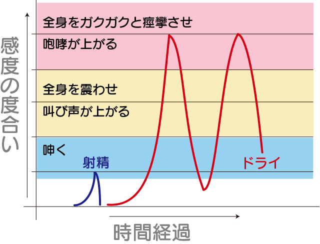 大阪府×ドライオーガズムの風俗店一覧｜風俗DX