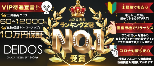 岡崎・豊田(西三河)のぽっちゃり系ピンサロランキング｜駅ちか！人気ランキング