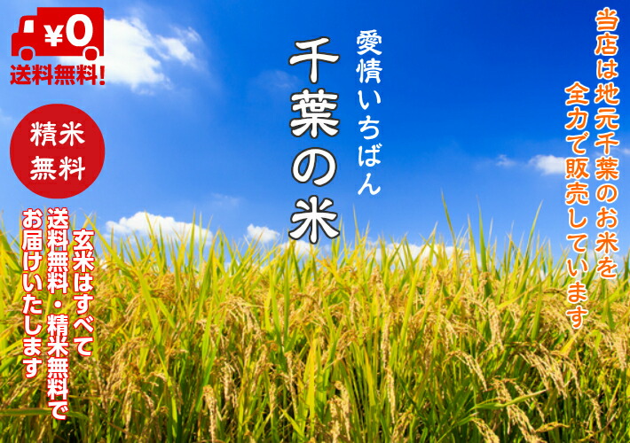 楽天市場】令和6年産 新米入荷！無洗米 ふさこがね １０ｋｇ（5ｋｇ×2）千葉県産 おいしい♪手間なし♪簡単♪※本州・四国