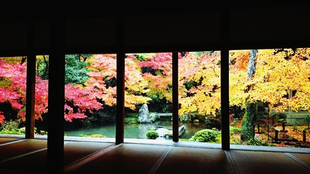 京都の紅葉ラストスパート！混雑回避の穴場で絶景満喫【町家宿おかみの､たびする京都くらす京都｡】 | marie claire [マリ・クレール]