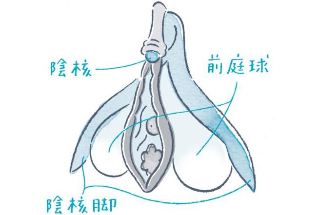 女性の脚ピン（足ピン）オナニーについて - TENGAヘルスケア