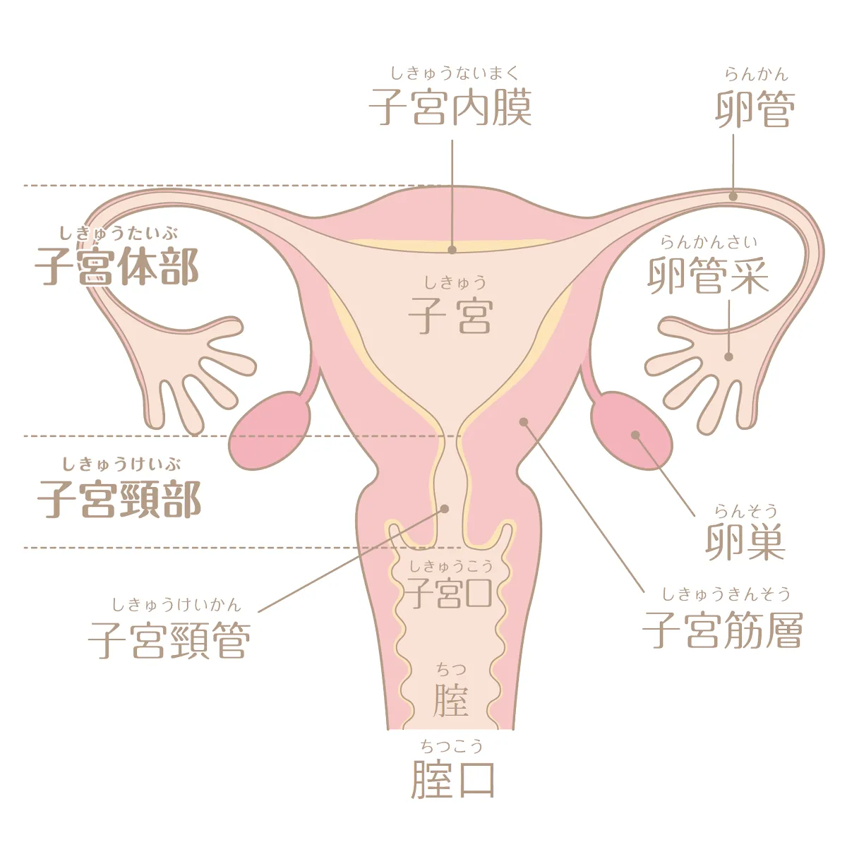 Amazon.co.jp: 温泉客が居ても浴衣の中の抱っこSEXで挿入して逃がさず何発も膣射させる痴女っこ2[DVD] : -, シンメトリー中田: