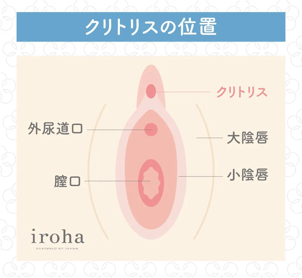 尿道から前立腺刺激するリスクとリターン | 前立腺オナニーのログ