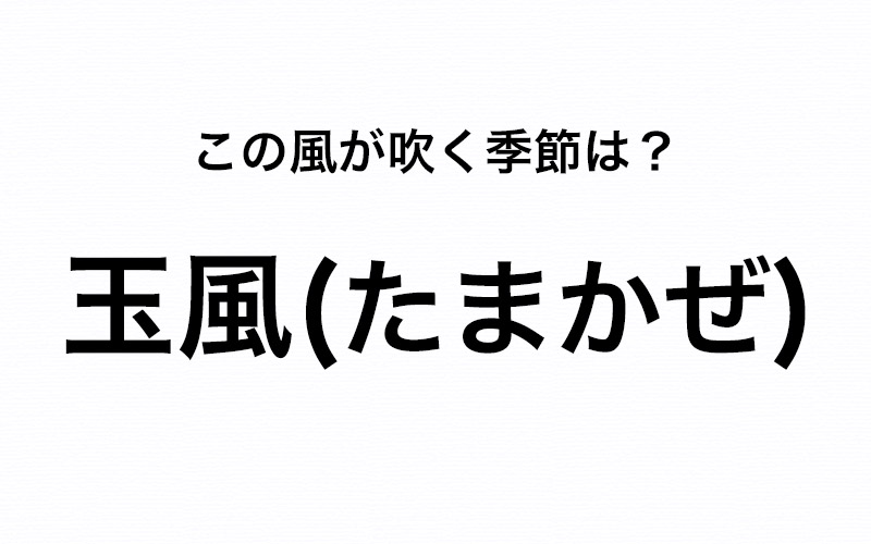 逆風が吹く(ぎゃくふうがふく)」の意味や使い方 わかりやすく解説 Weblio辞書