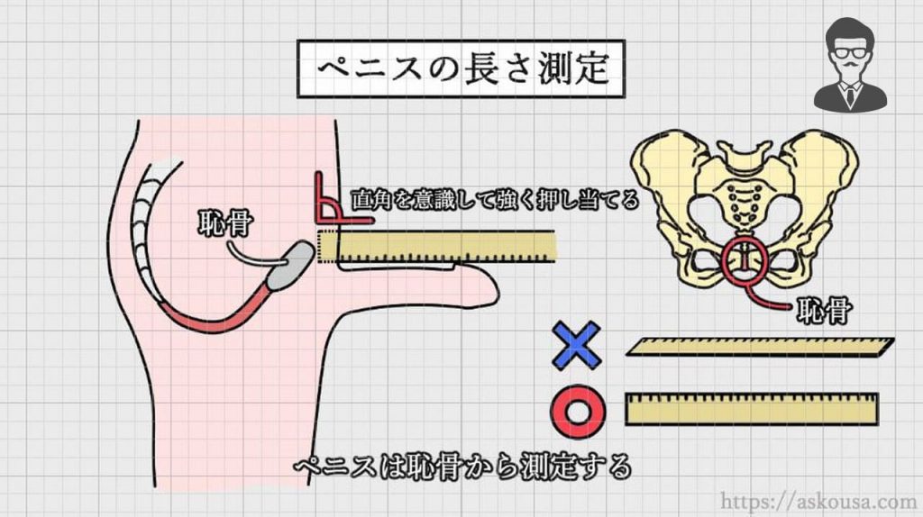 ちんこってどう測ればいいの？さまざまな測り方をわかりやすく解説｜Cheeek [チーク]