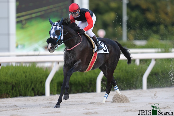 BCターフスプリント】ロッサ・ライアン騎乗 スターラストが抜け出す…直線は審議 | その他競技 |