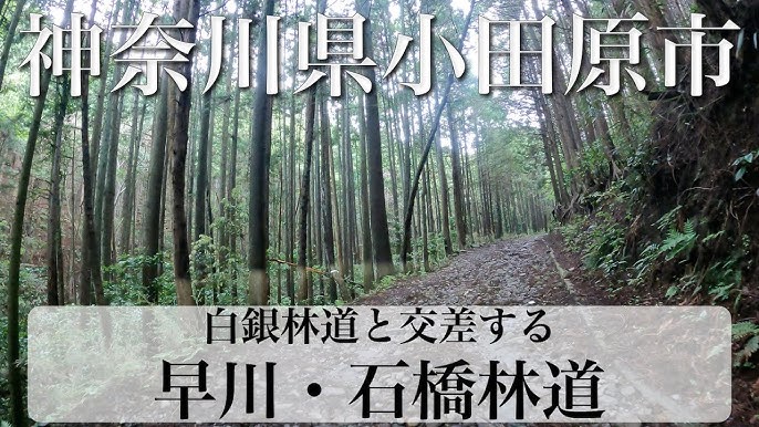 神奈川県南足柄市塚原4531-13(塚原駅)塚原 貸地の貸し倉庫・貸し工場 詳細ページ｜神奈川貸倉庫.com[4572]