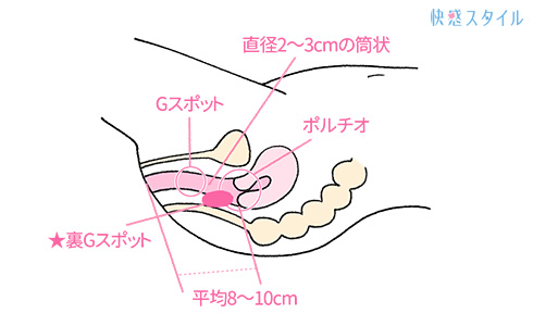 処女の初めてのオナニー講座！ひとりエッチのやり方、準備、使いたいアダルトグッズを紹介するよ！ | 処女がHを学べるブログ｜初えち学