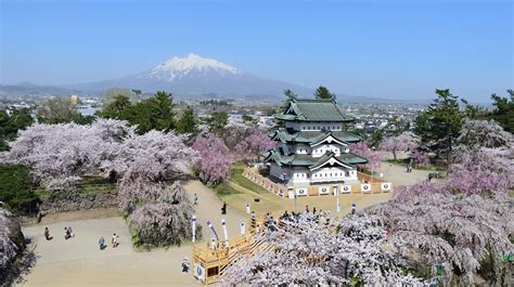 ニューハーフ の あそこ 宇部市