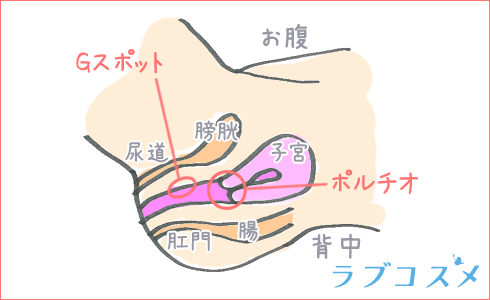 騎乗位の動き方とコツ！腰のグラインドやエッチの練習方法を漫画・動画で徹底解説【快感スタイル】