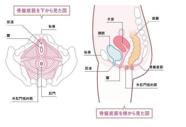 まさに神秘！ 地球の肛門といっても差し支えないポルトガルの超巨大ダム映像 | ロケットニュース24