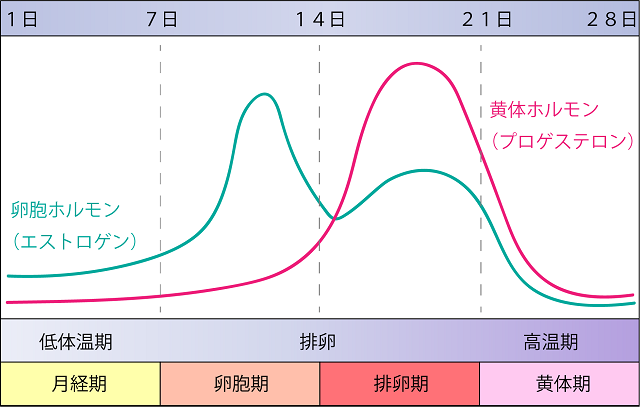 生理中でも脱毛ＯＫ？医療脱毛とエステ脱毛で異なる対応 | 美容コラム