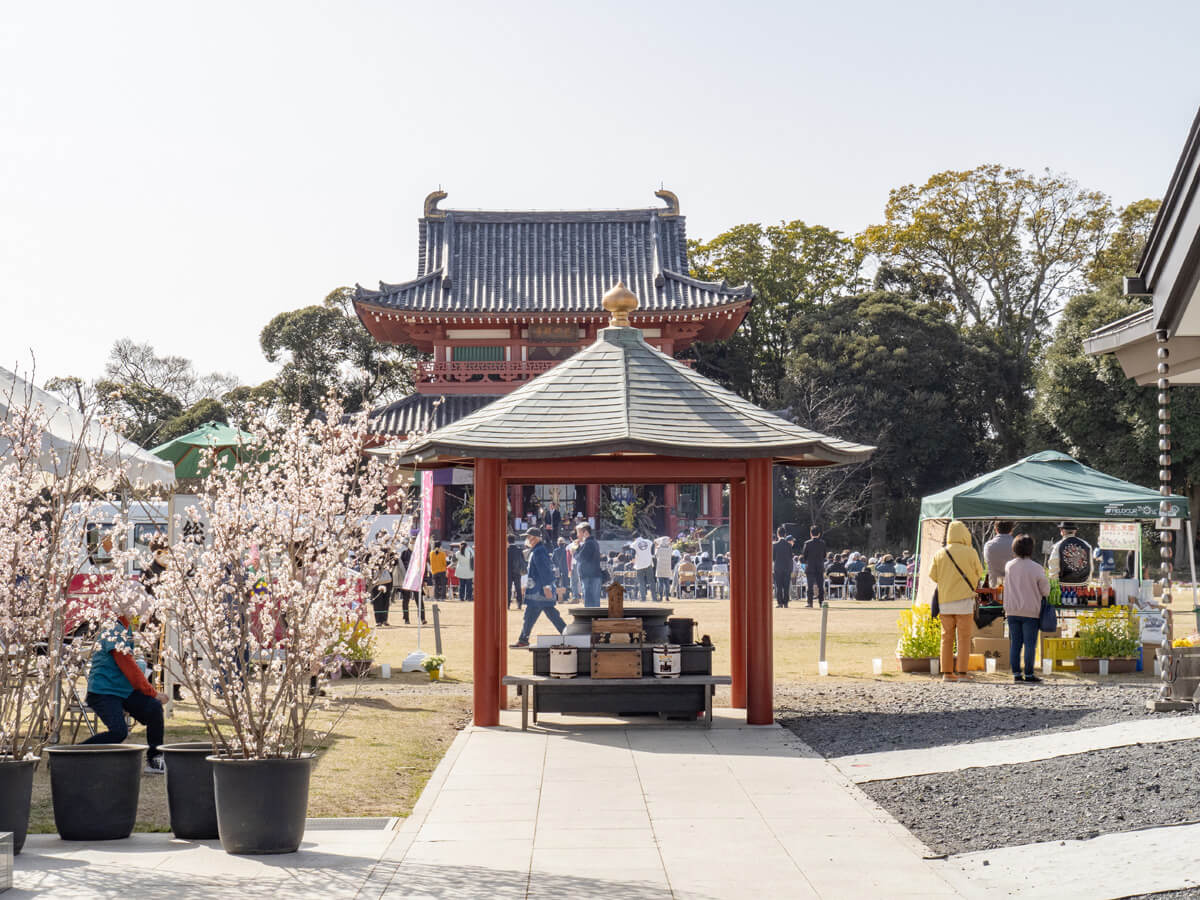 2/24 世界の椿園（尾鷲市大曽根） -