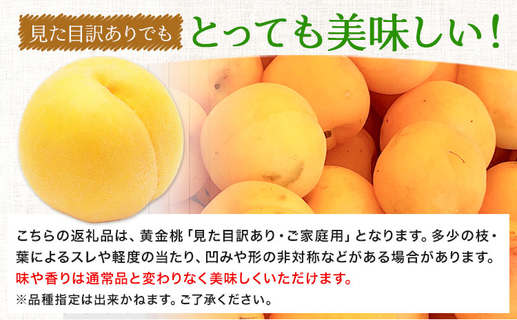 信州の旬の桃 訳あり自家用ランク お試し向き約1.8～2ｋｇ入り/箱（8～14玉入れ） | 北原農園