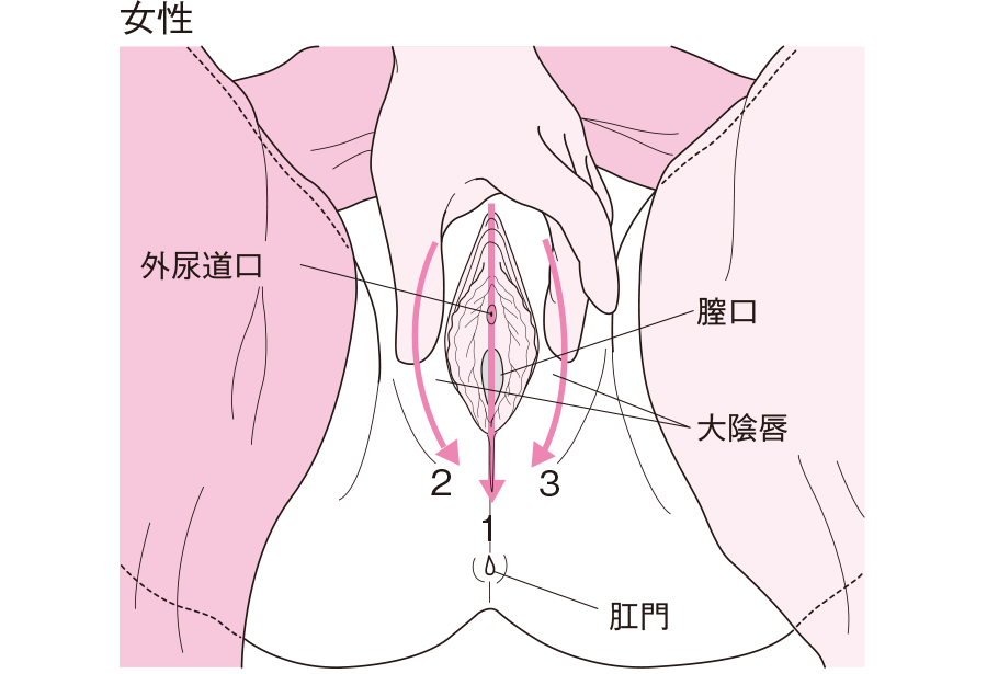 高齢者の陰部洗浄 | 動画でわかる看護技術 | 看護roo![カンゴルー]