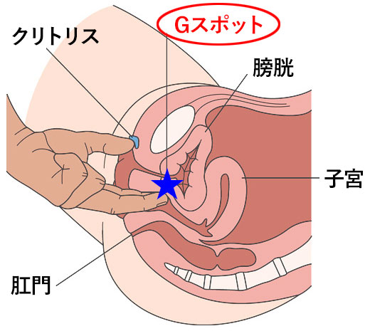 中イキしたい女性必見！医師監修の「挿入がもっと気持ちよくなる」コツ－AM