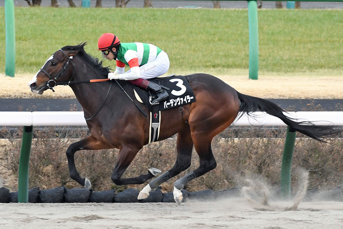 Amazon.co.jp: 携帯ストラップ 星明子 星飛雄馬の姉 花形満の嫁