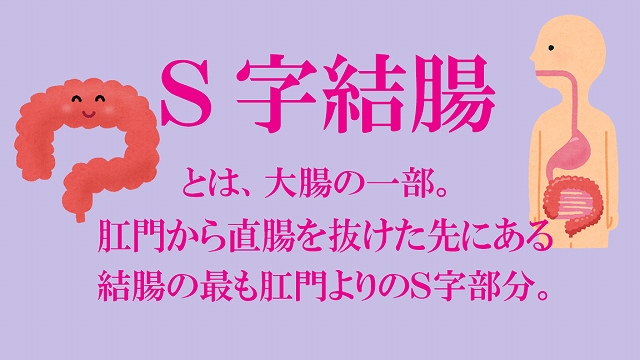 S字結腸まで届く極太チンポで完璧アヘ顔ｗｗｗ肛門から腸液&ザーメン吹き出すドスケベ肉便器【エロアニメ】 - エロアニメタレスト