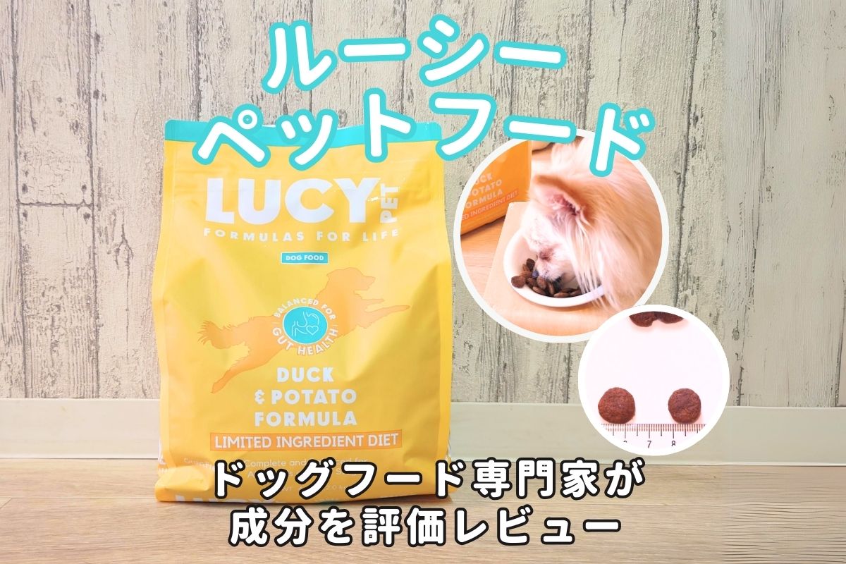 フロアソファ Lucy ルーシー