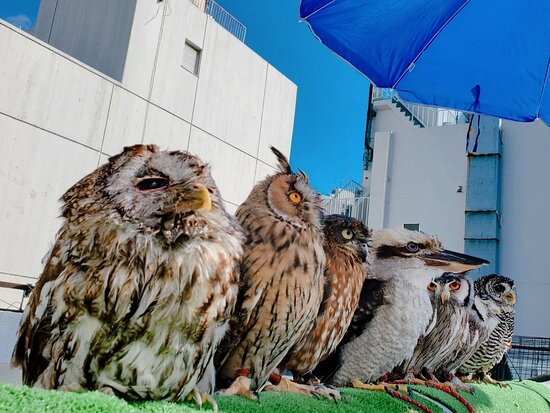 完全個室あり】まぁじゃんZOO 池袋西口総本店 - 豊島区/東京都 [麻雀王国]