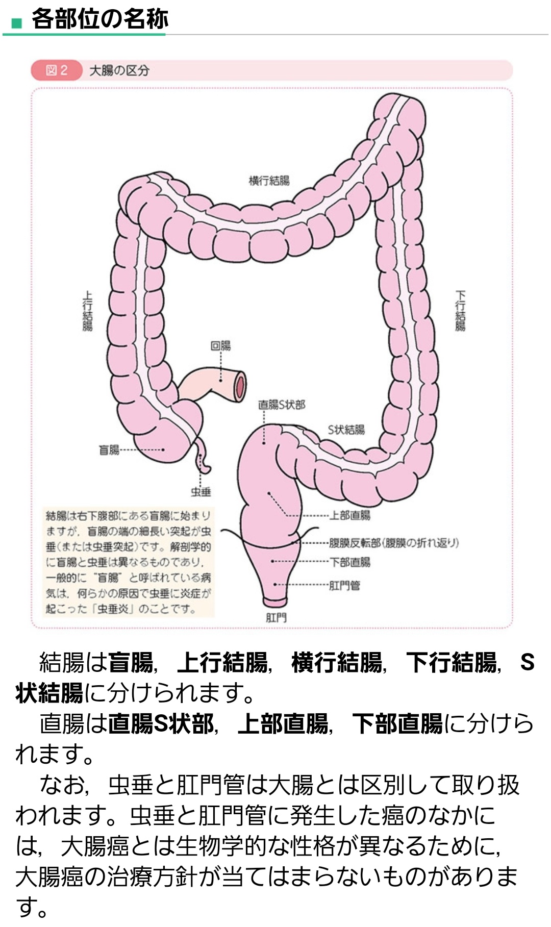 奥までいれて下さい!（osoushiki）の通販・購入はフロマージュブックス | フロマージュブックス