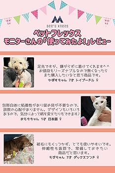 犬が触られて1番喜ぶ場所は◯◯でした・・・！愛犬家100人に愛犬が1番触られて喜ぶ場所をアンケート調査しました。 |  ドッグフードベストわんっ！のプレスリリース