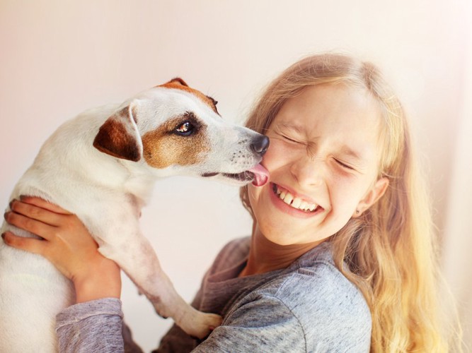 オスの犬と生活している飼い主のみなさまへ。去勢手術についてのお話｜与野の動物病院なら、そよかぜ動物病院