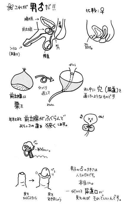 高齢者の陰部洗浄 | 動画でわかる看護技術