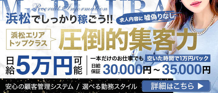 浜松｜風俗出稼ぎ高収入求人[出稼ぎバニラ]