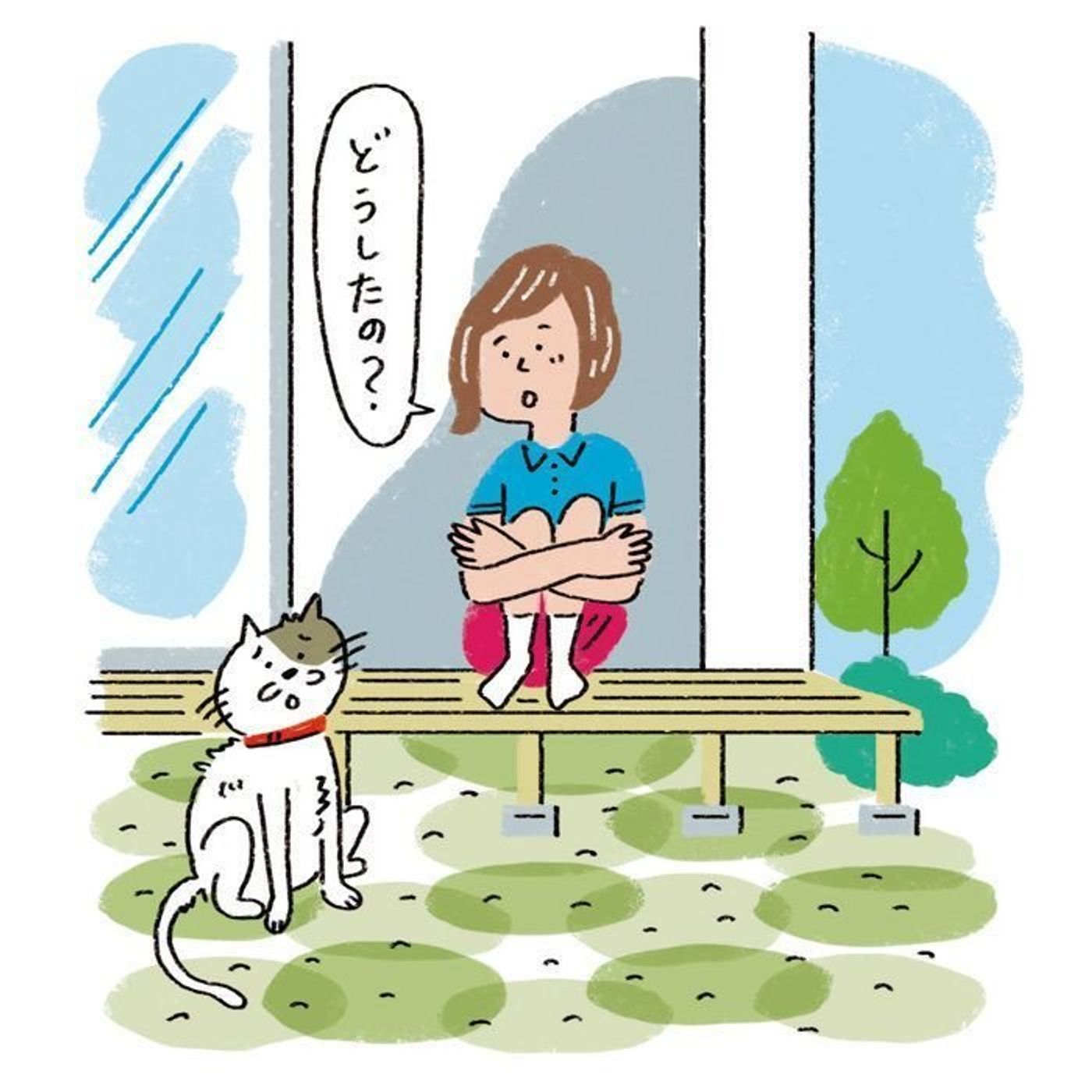 猫に首輪をつけるべき？ 首輪のメリットや選び方のポイントを解説｜ねこのきもちWEB MAGAZINE