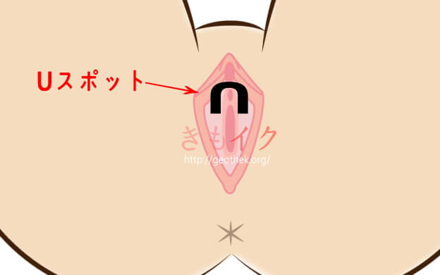 中イキとは？ 中イキできない理由と中イキするための方法【医師が解説】｜「マイナビウーマン」