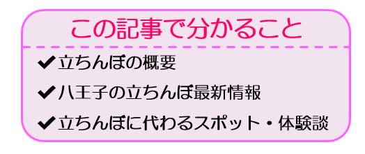 体験レポ】八王子に立ちんぼはいない!?八王子立ちんぼに代わる裏風俗2選！NN可能？ | Trip-Partner[トリップパートナー]